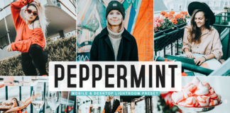 Free Peppermint Lightroom Preset