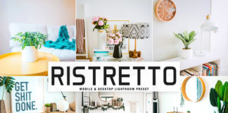 Free Ristretto Lightroom Preset