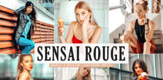 Free Sensai Rouge Lightroom Preset