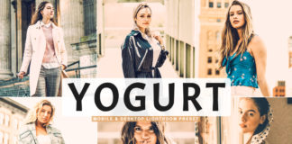 Free Yogurt Lightroom Preset