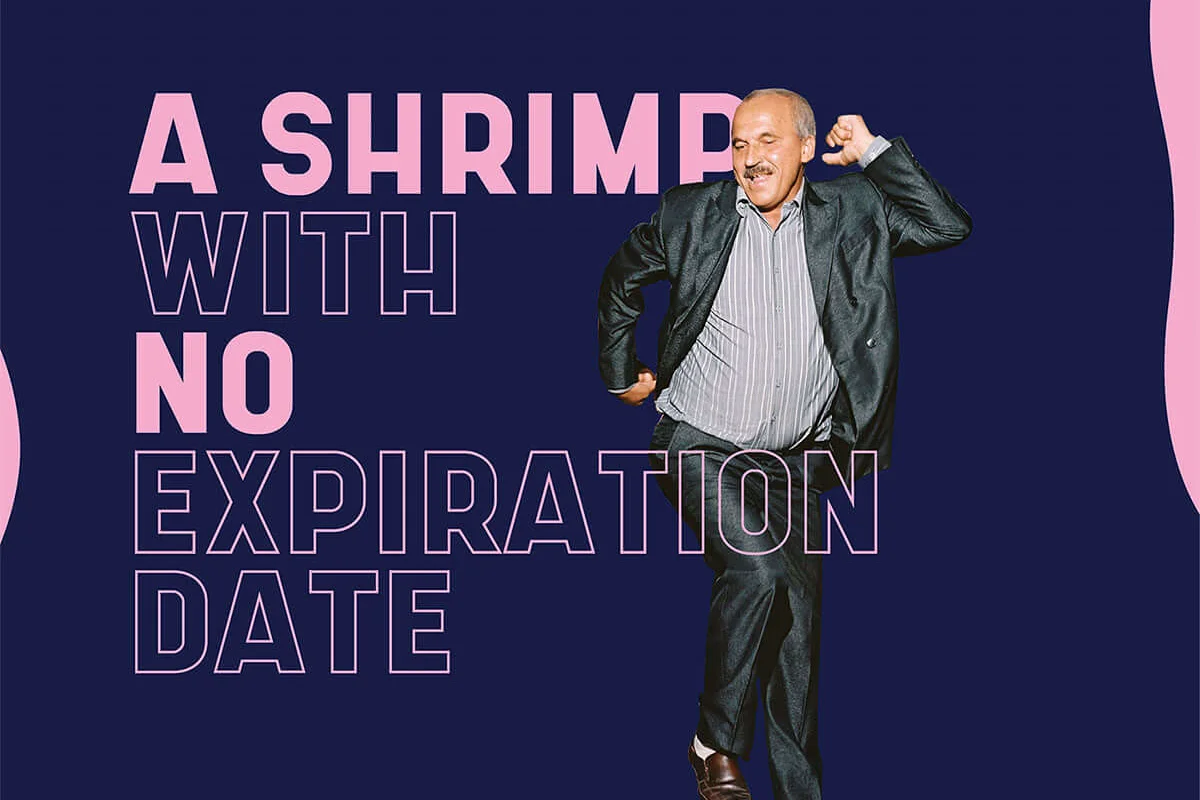 Shrimp Sans Serif Font Preview 1