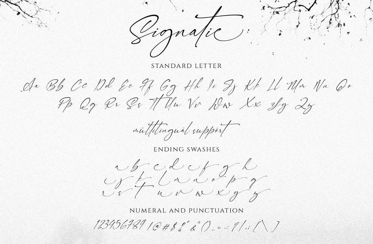 Signatie Script Font Preview 4
