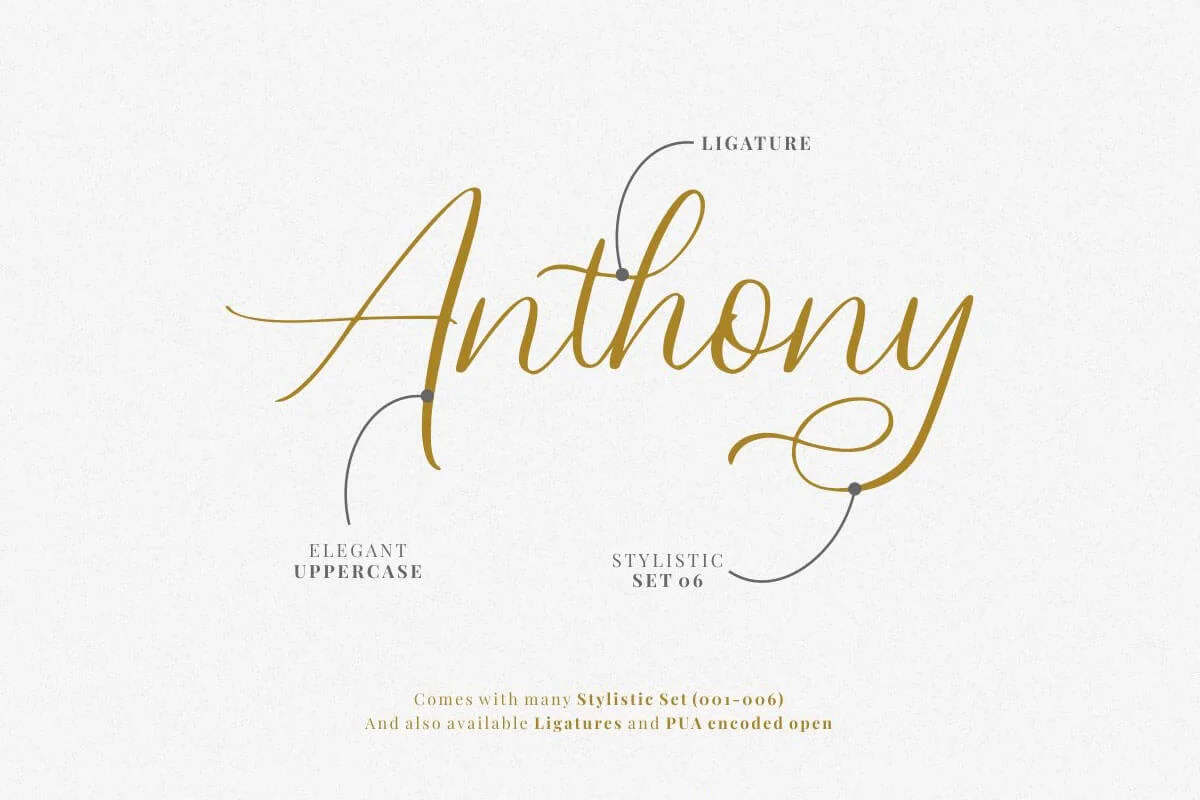 Swadery Script Font Preview 2