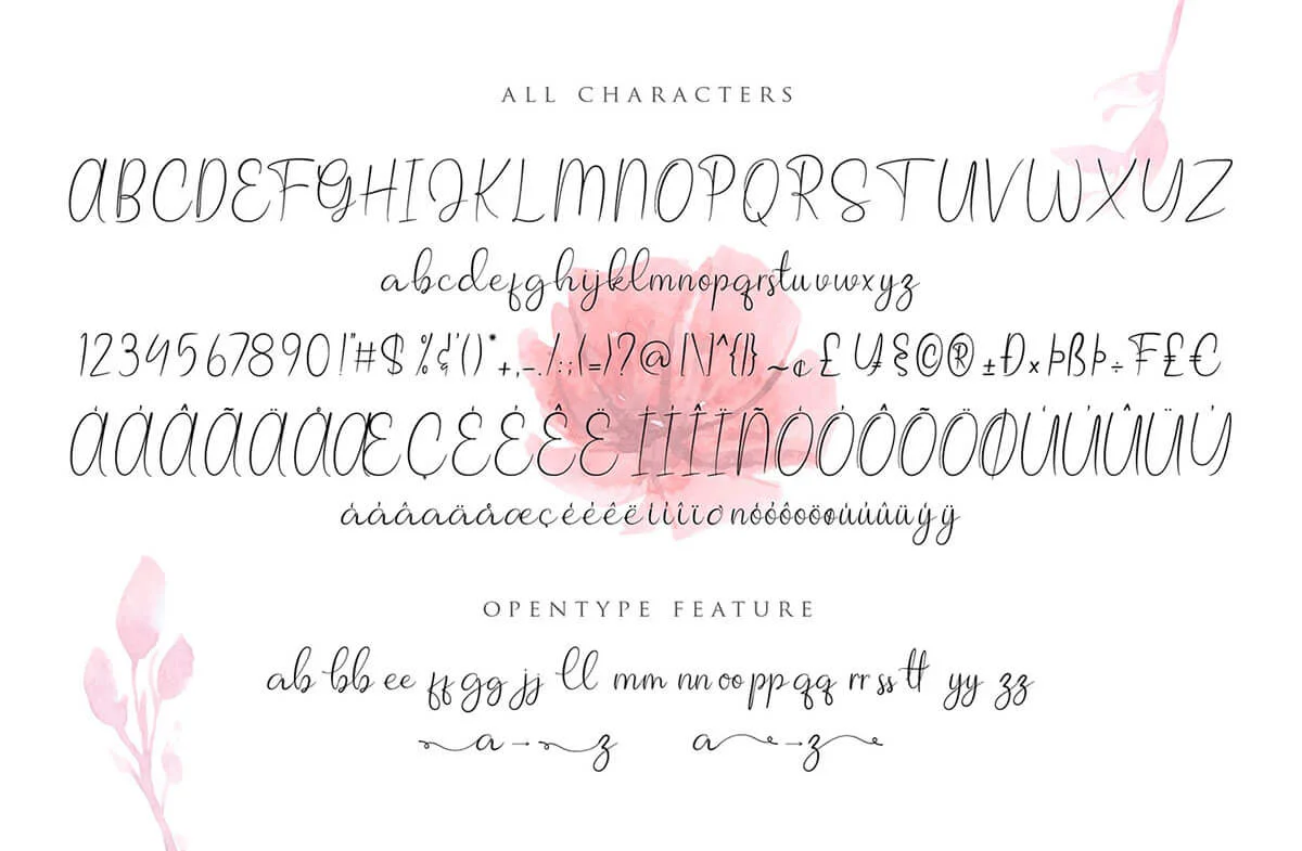 Allagia Script Font Preview 4