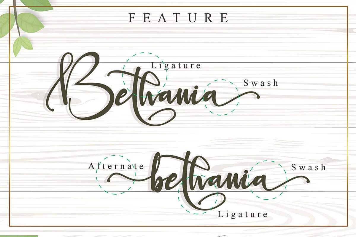 Bethania Calligraphy Font Preview 3