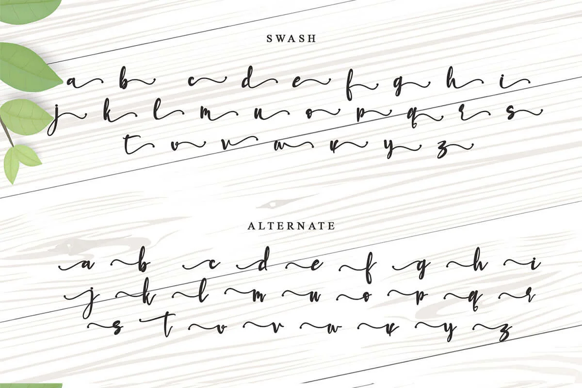 Bethania Calligraphy Font Preview 4