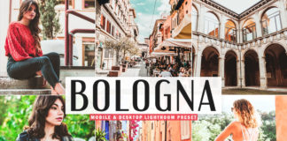 Free Bologna Lightroom Preset