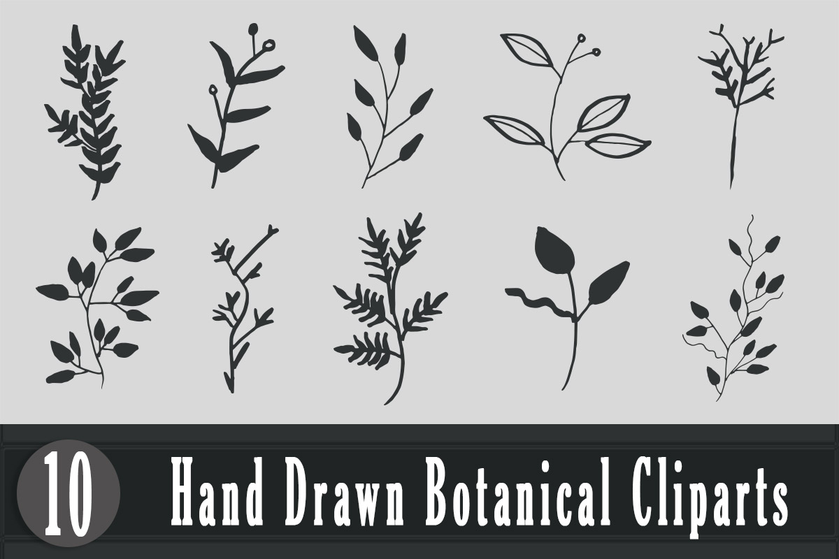 Free Handmade Botanical Cliparts