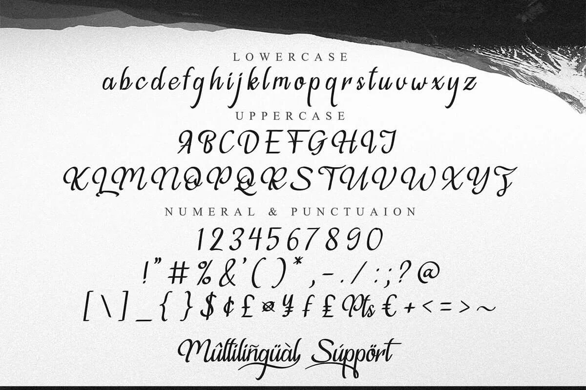 Violleva Script Font Preview 4