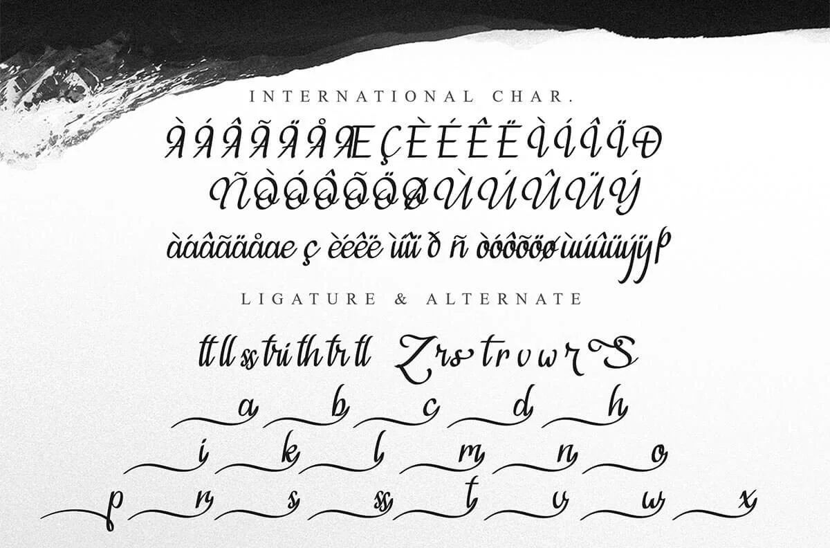 Violleva Script Font Preview 5