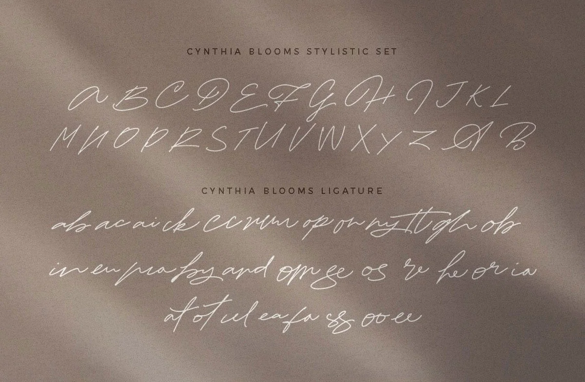 Cynthia Blooms Calligraphy Font Preview 3