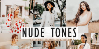 Free Nude Tones Lightroom Preset