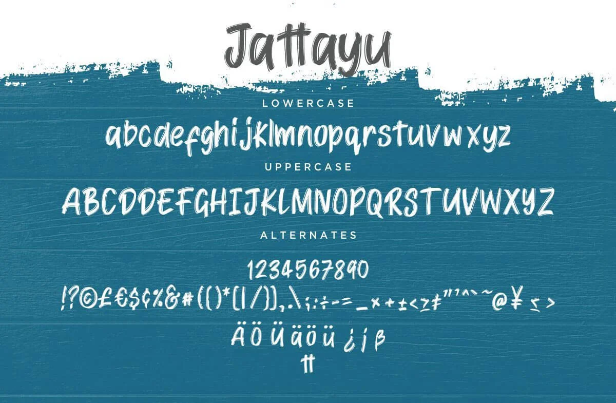 Jattayu Brush Font Preview 4