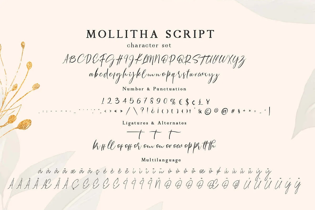 Mollitha Calligraphy Font Preview 3