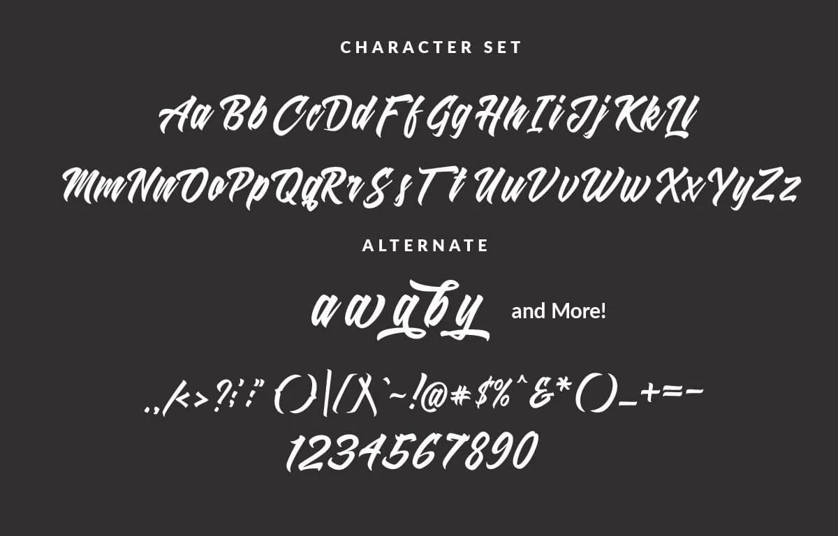 Shanders Brush Font Preview 5