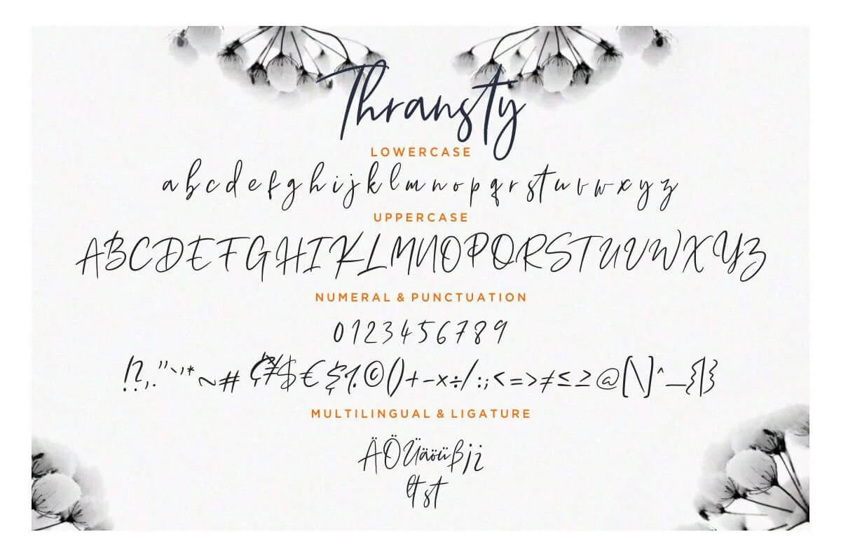 Thransty Script Font Preview 5