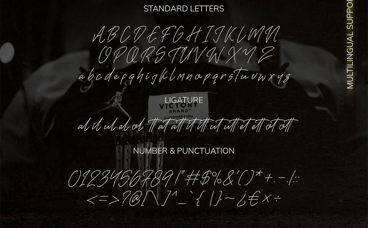 Darklight Script Font Preview 6