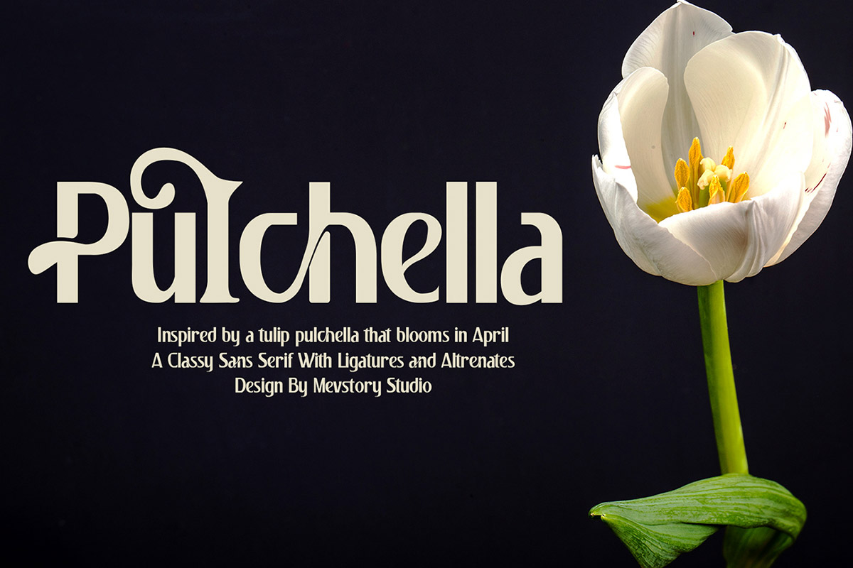 Free Pulchella Sans Serif Font