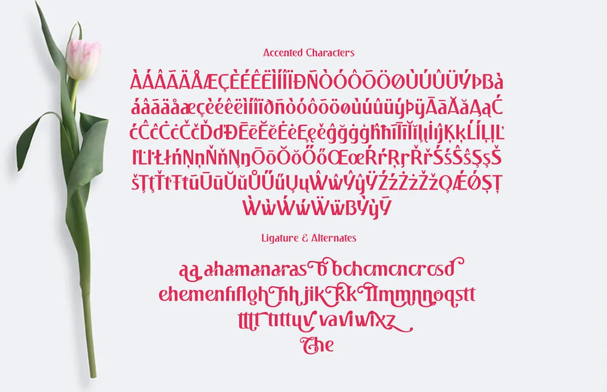 Pulchella Sans Serif Font Preview 7