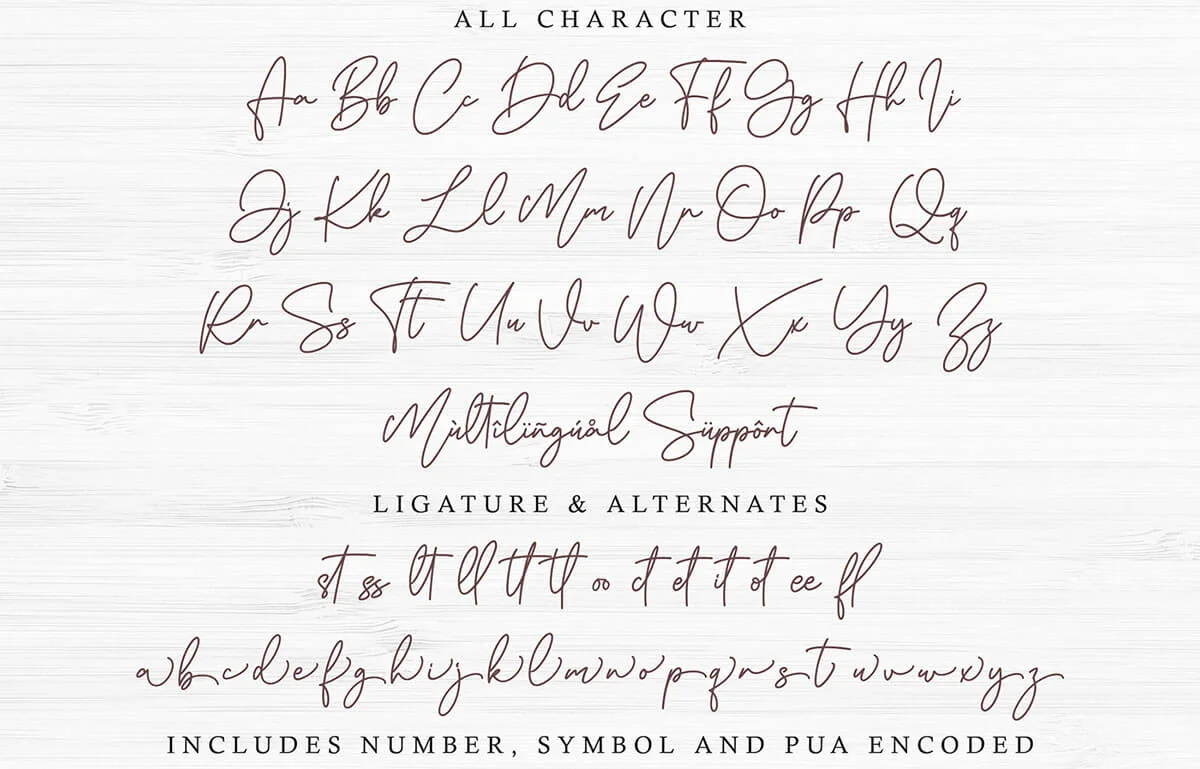 Aesthete Signature Font Free Download - Creativetacos