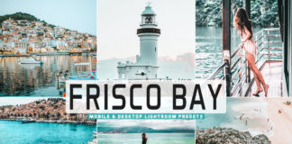 Free Frisco Bay Lightroom Presets