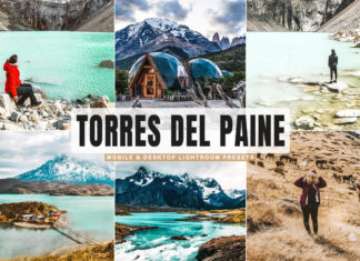 Free Torres del Paine Lightroom Presets