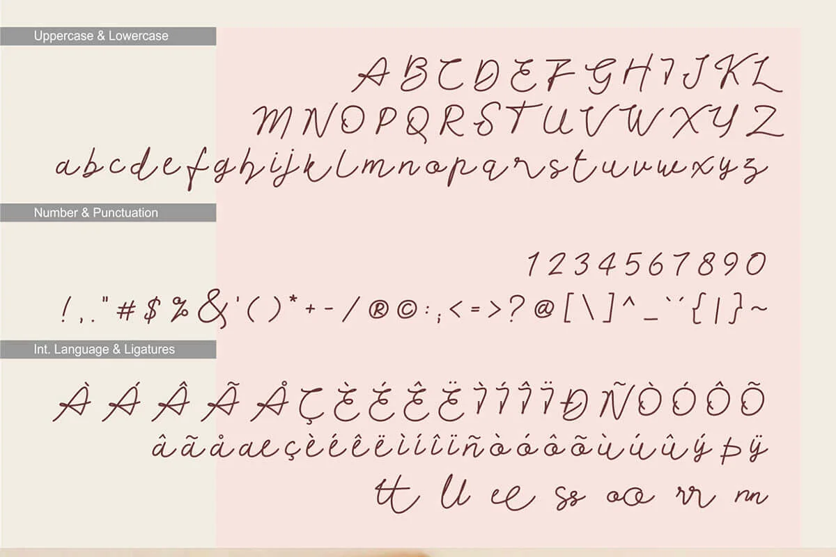 Flowee Script Font Preview 5