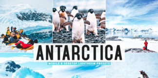 Free Antarctica Lightroom Presets