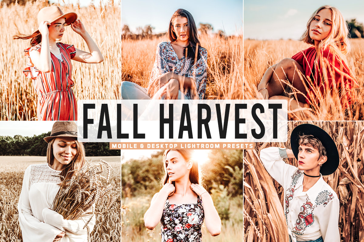 Free Fall Harvest Lightroom Presets