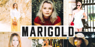 Free Marigold Lightroom Presets