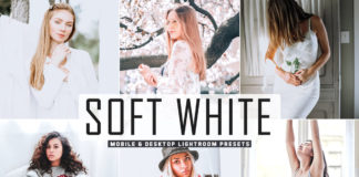 Free Soft White Lightroom Presets
