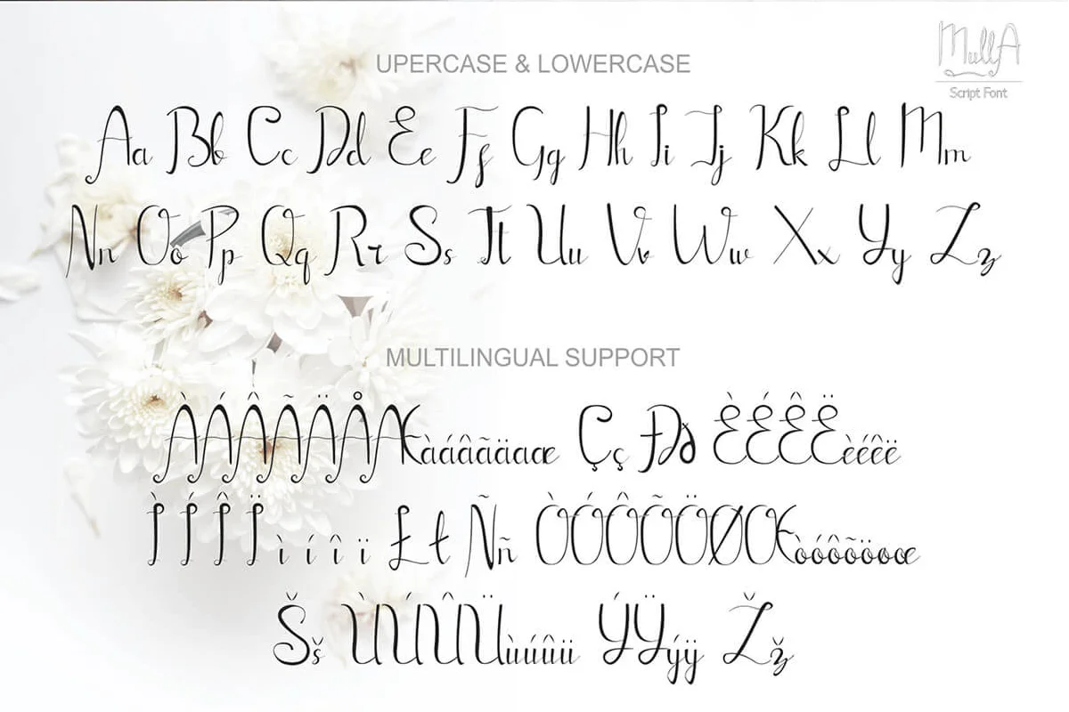Mulla Script Font Preview 5