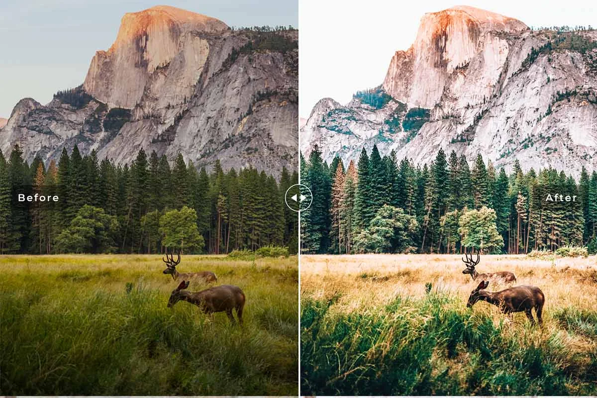 Yosemite Lightroom Presets Preview 3