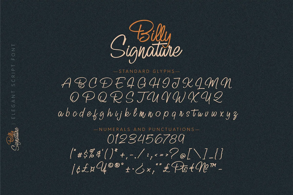 Billy Signature Script Font Preview 1