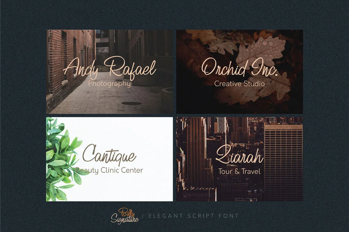 Billy Signature Script Font Preview 2