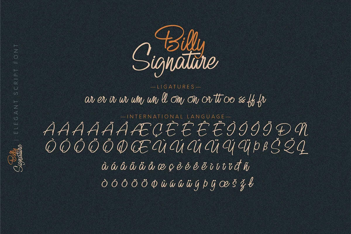 Billy Signature Script Font Preview 3