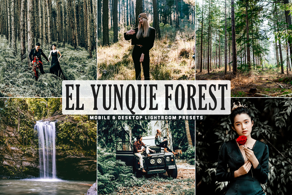 Free El Yunque Forest Lightroom Presets