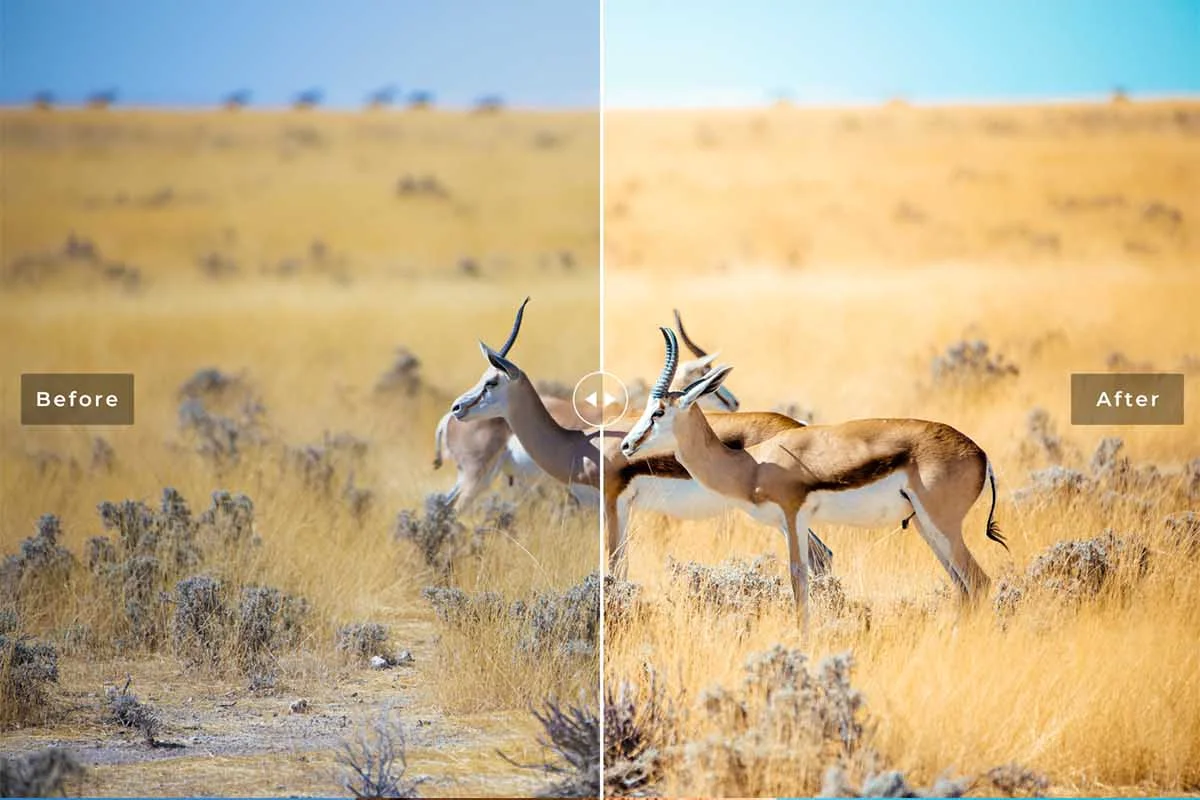 Namibia Lightroom Presets Preview 3