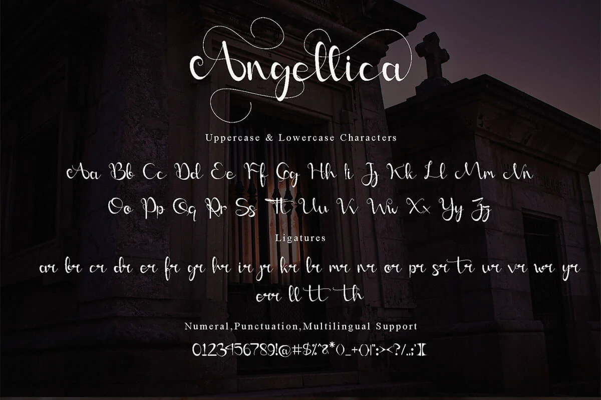 Angellina Calligraphy Font Preview 3