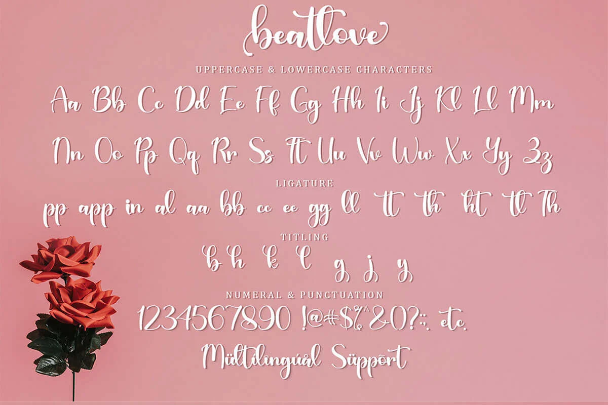 Beatlove Calligraphy Font Preview 5