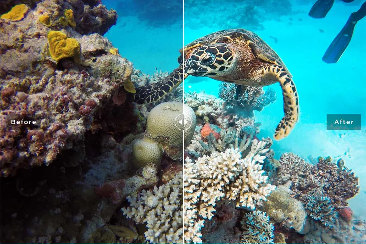 Great Barrier Reef Lightroom Presets Preview 1