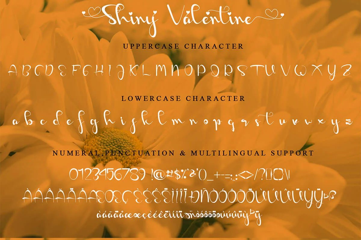 Shiny Valentine Script Font Preview 4