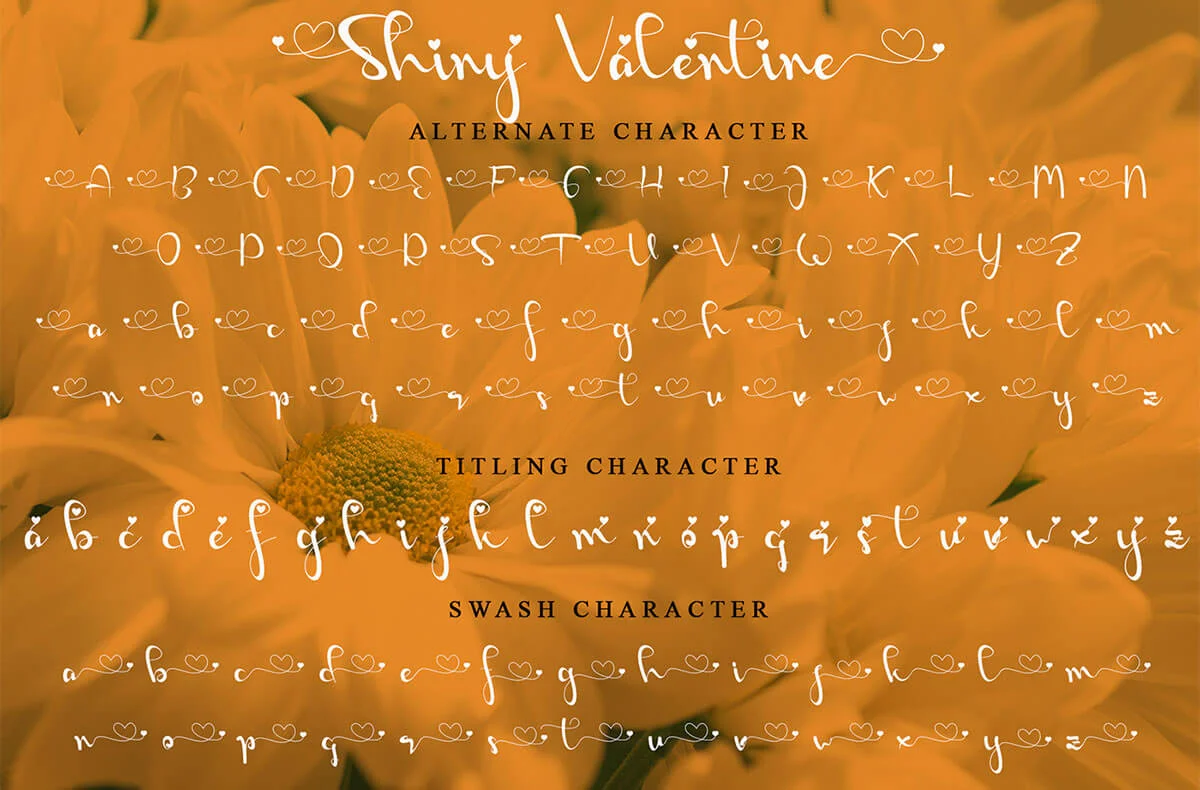 Shiny Valentine Script Font Preview 5