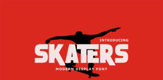 Free Skaters Display Font