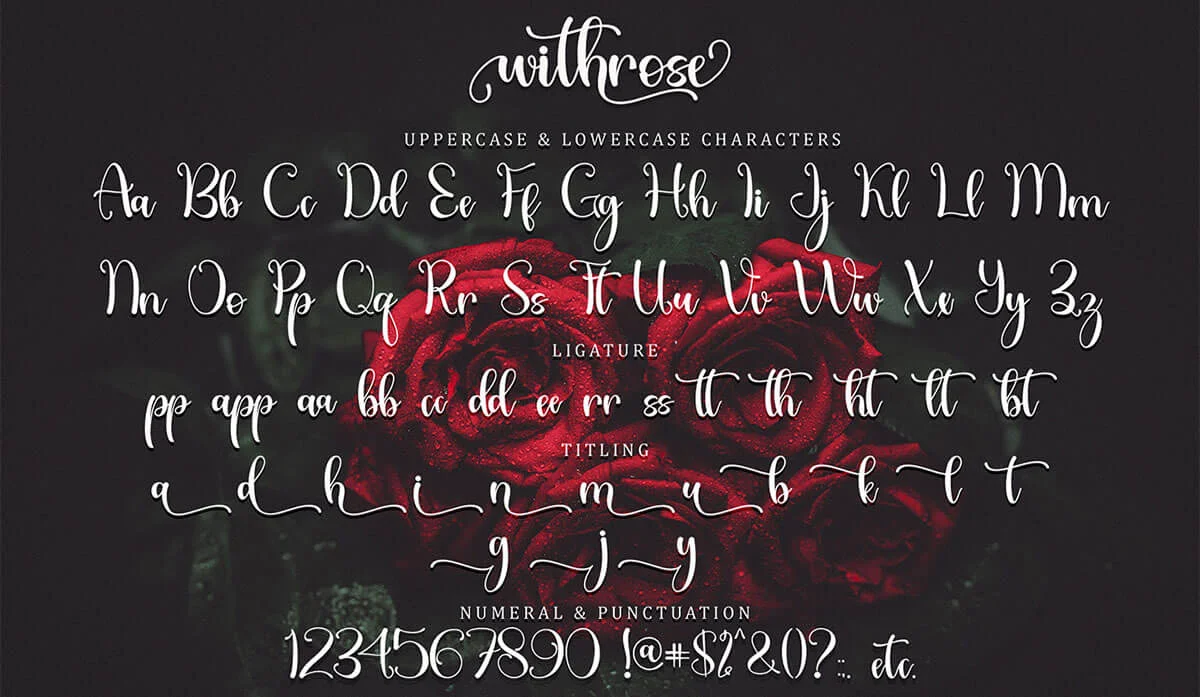 Withrose Calligraphy Font Preview 5
