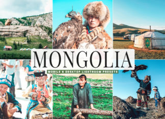 Free Mongolia Lightroom Presets