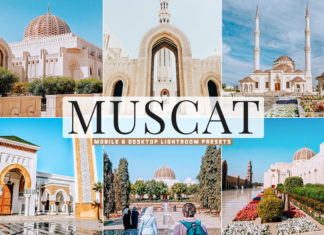 Free Muscat Lightroom Presets