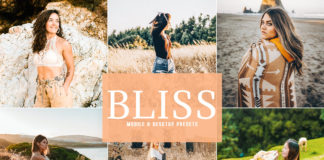 Free Bliss Lightroom Presets