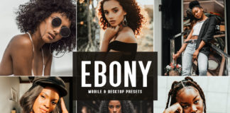 Free Ebony Lightroom Presets