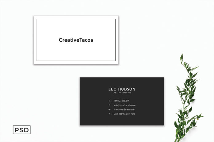 Free Simple & Clean Business Card Template